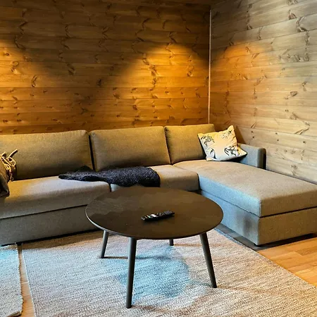 New Family Near Lifts In Sirdal 度假居 *
