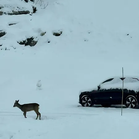 New Family Near Lifts In Sirdal